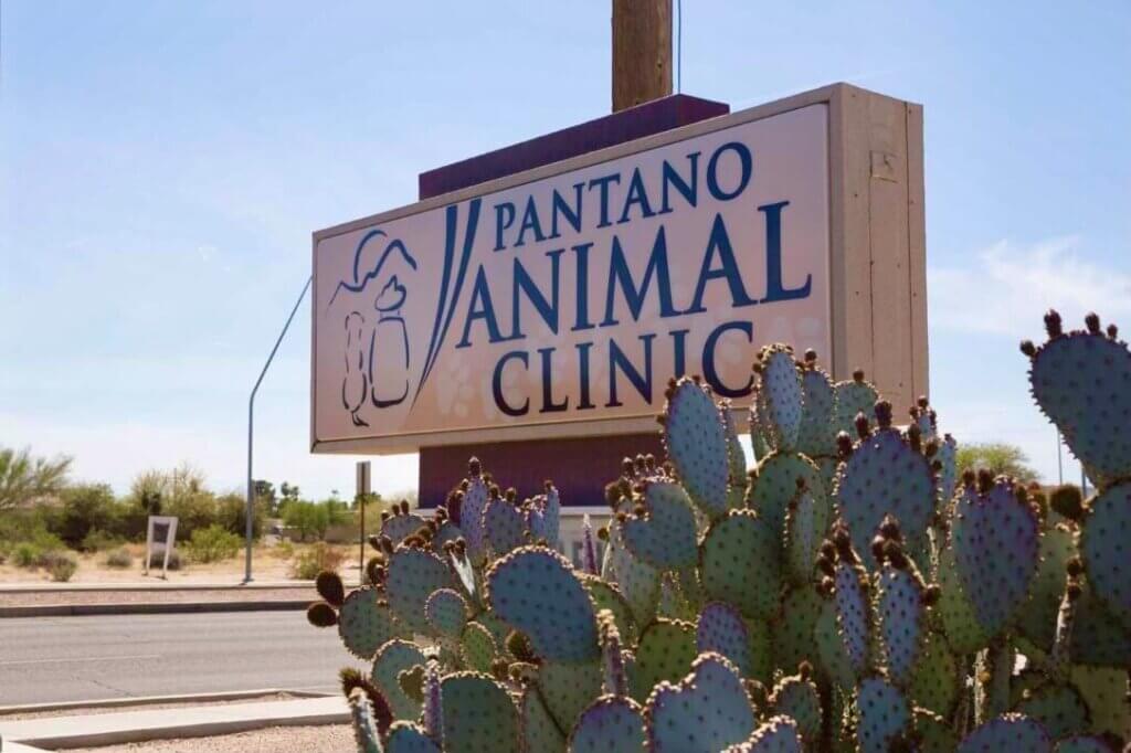 Pantano Animal Clinic - Tucson, AZ