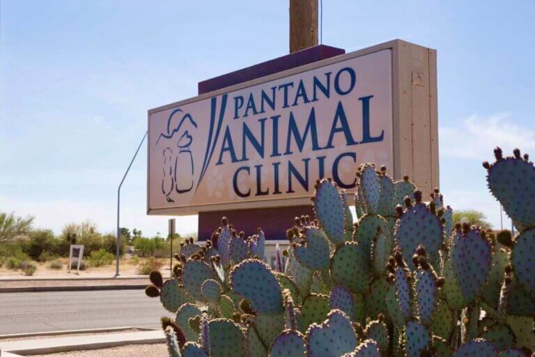 Pantano Animal Clinic - Tucson, AZ